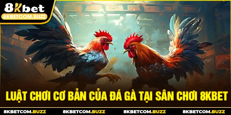 Luật chơi cơ bản của đá gà tại sân chơi 8kbet